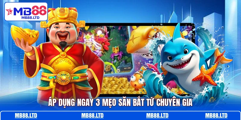 Áp dụng ngay 3 mẹo săn bắt từ chuyên gia