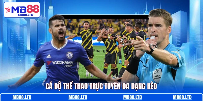 Cá độ thể thao trực tuyến đa dạng kèo