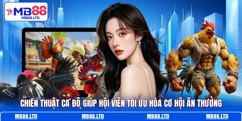 Chiến thuật cá độ giúp hội viên tối ưu hóa cơ hội ăn thưởng