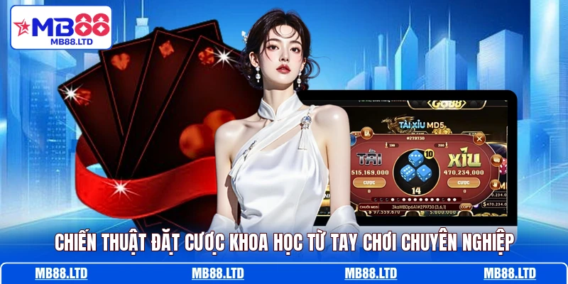 Chiến thuật đặt cược khoa học từ tay chơi chuyên nghiệp