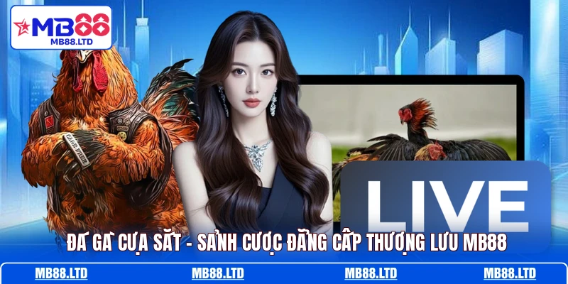 Đá Gà Cựa Sắt