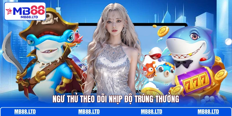 Ngư thủ theo dõi nhịp độ trúng thưởng