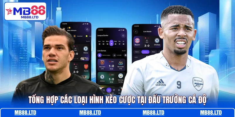 Tổng hợp các loại hình kèo cược tại đấu trường cá độ