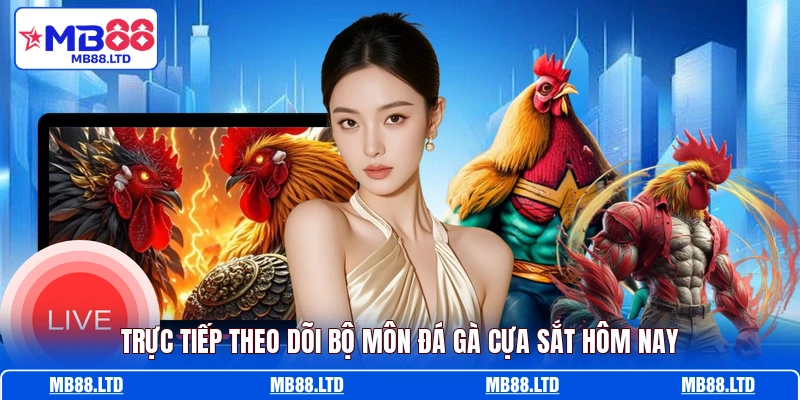 Trực tiếp theo dõi bộ môn đá gà cựa sắt hôm nay