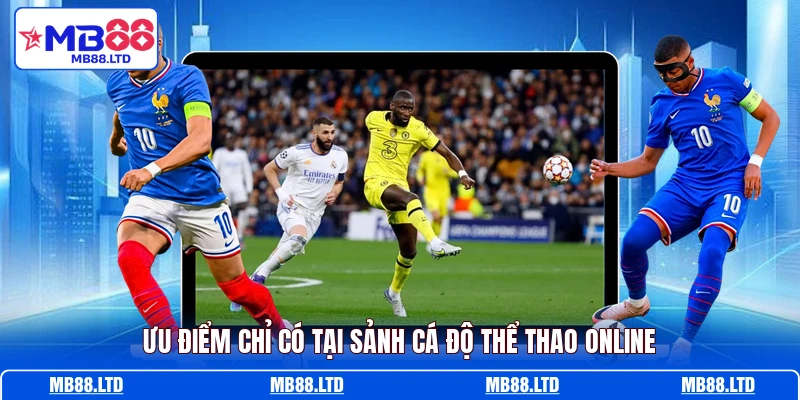 Ưu điểm chỉ có tại sảnh cá độ thể thao online